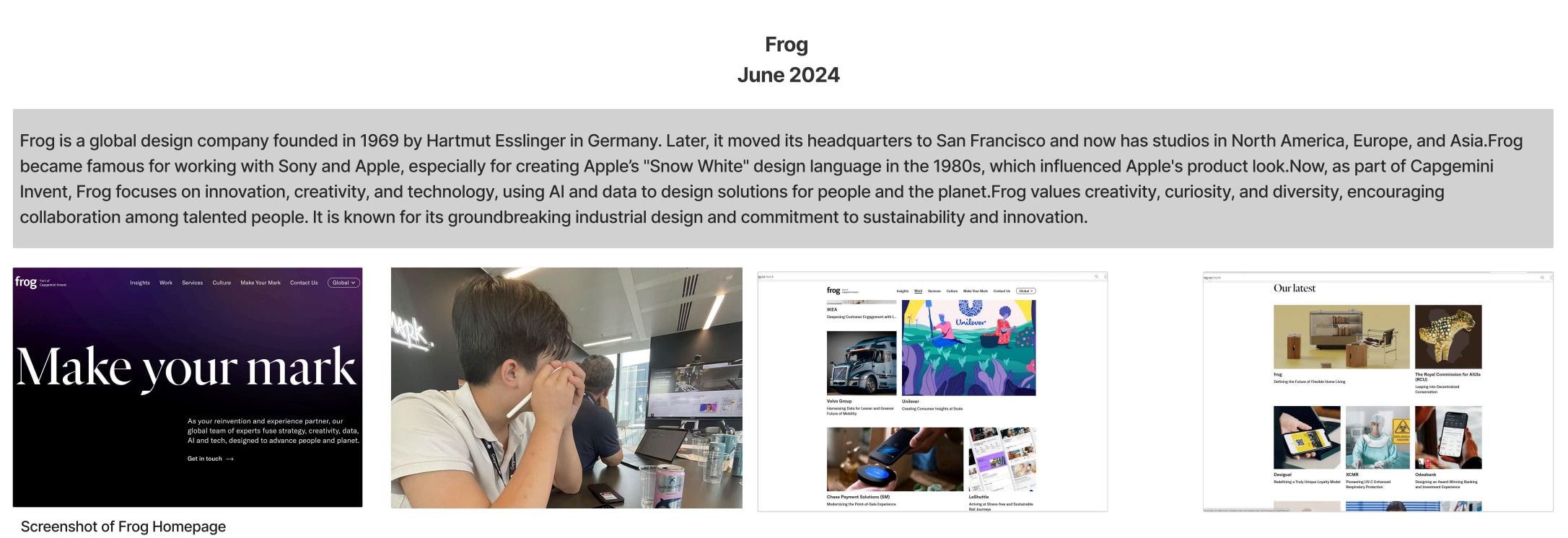 Research slide introducing Frog (June 2024): notes above screenshots of the studio’s website and a photo of the artist listening to a presentation at the studio.